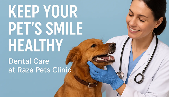 pet clinic