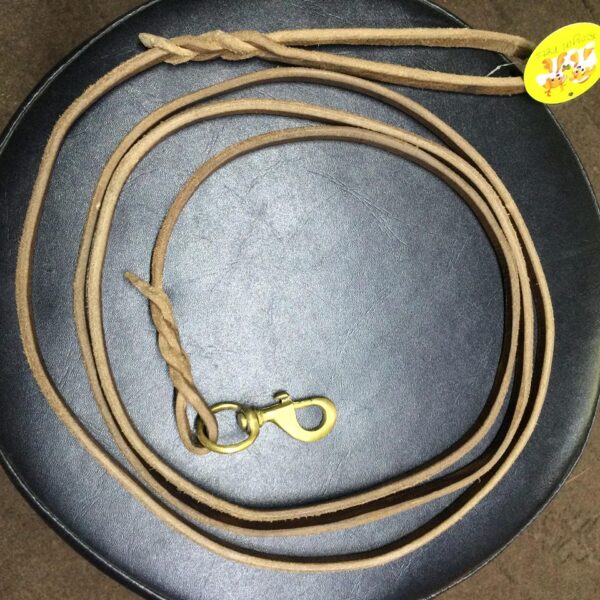 Dog show leash
