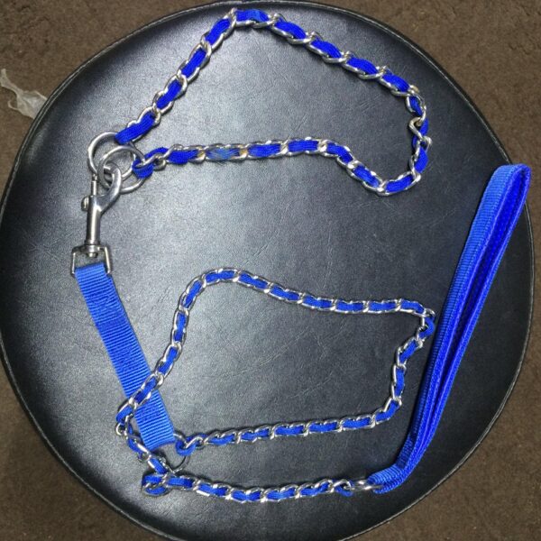 dog leash collar with chain