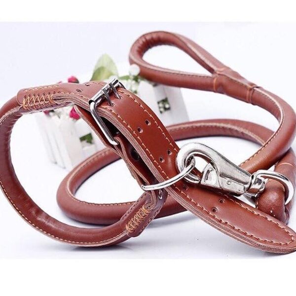 soft dog leash with collar