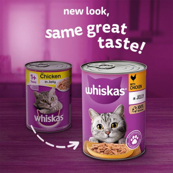 Whiskas Jelly TIN – 390 Grams-chicken