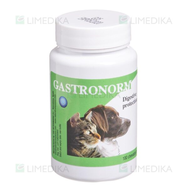 GASTRONORM