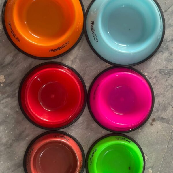 COLORFULL CAT FOOD BOWL