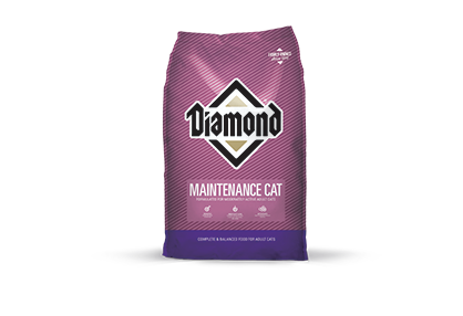 Diamond Maintenance CAT FOOD