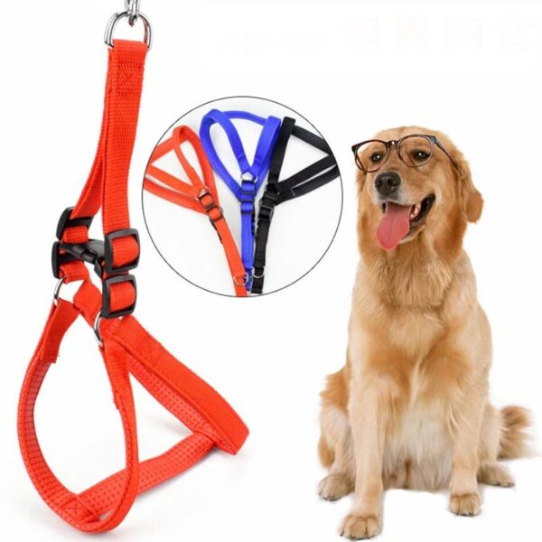 ADJUSTABLE DOG HARNESS WITH LEASH
