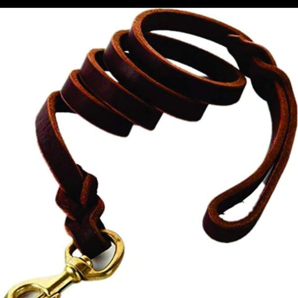 LEATHER LEASH