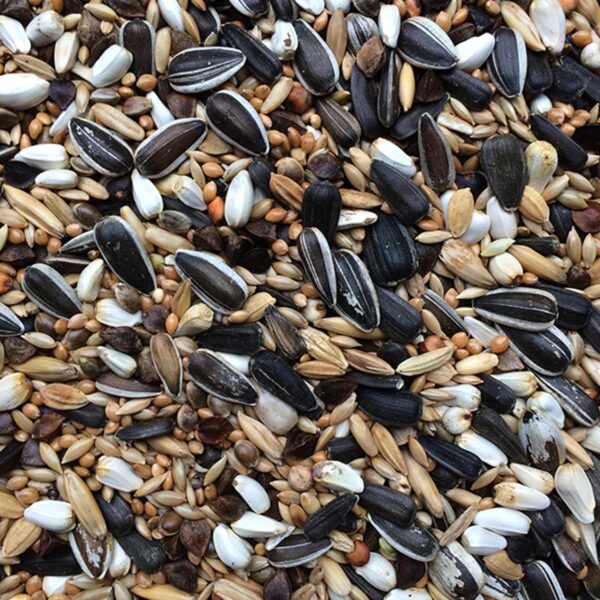 PARROTS (BIRDS) FEED 1KG