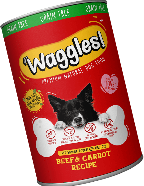 WAGGLESGRAVY FOOD IN BEEF & CARROT 400GRAMS