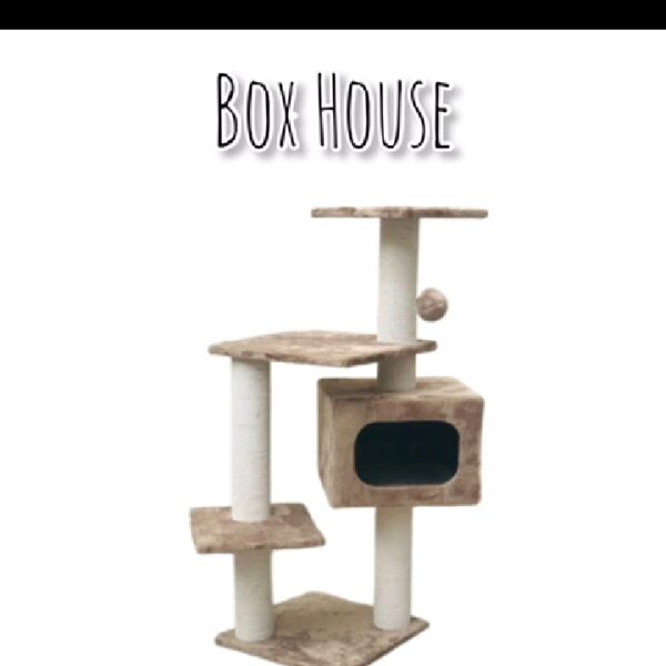 BOX HOUSE CAT SCRATCH POST