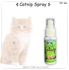 Catnip spray 70ml - Natural Catnip Spray for Cats