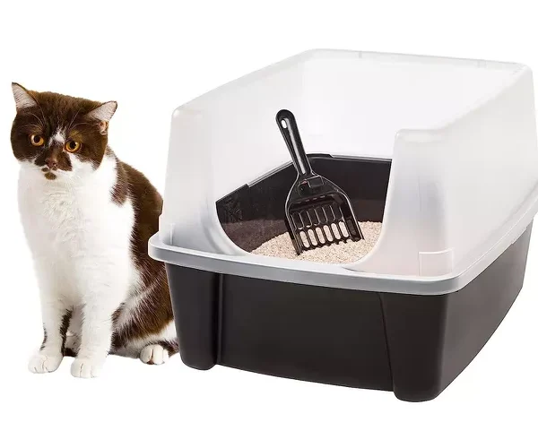 FANCY LITTER TRAY FOR CATS