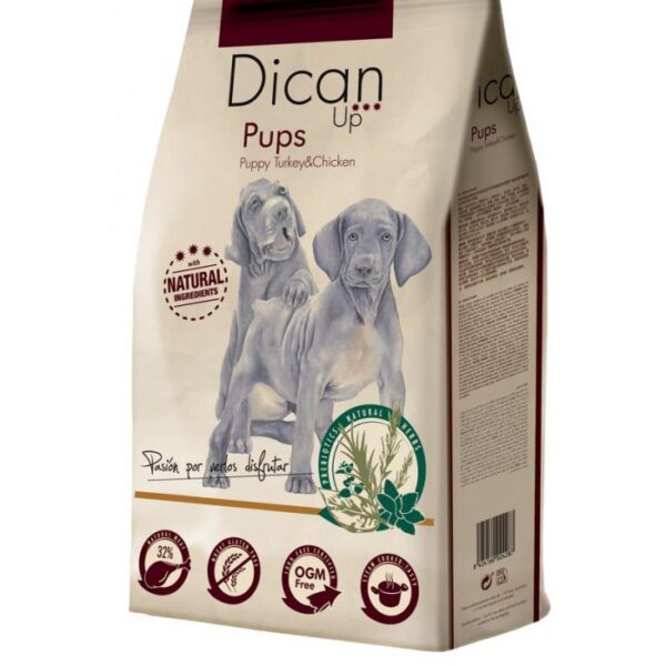 DICAN UP for puppy