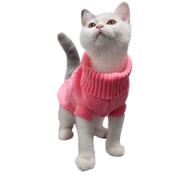 CAT SWEATERS DIFFERENT COLORS/ DIFFERENT DESIGN