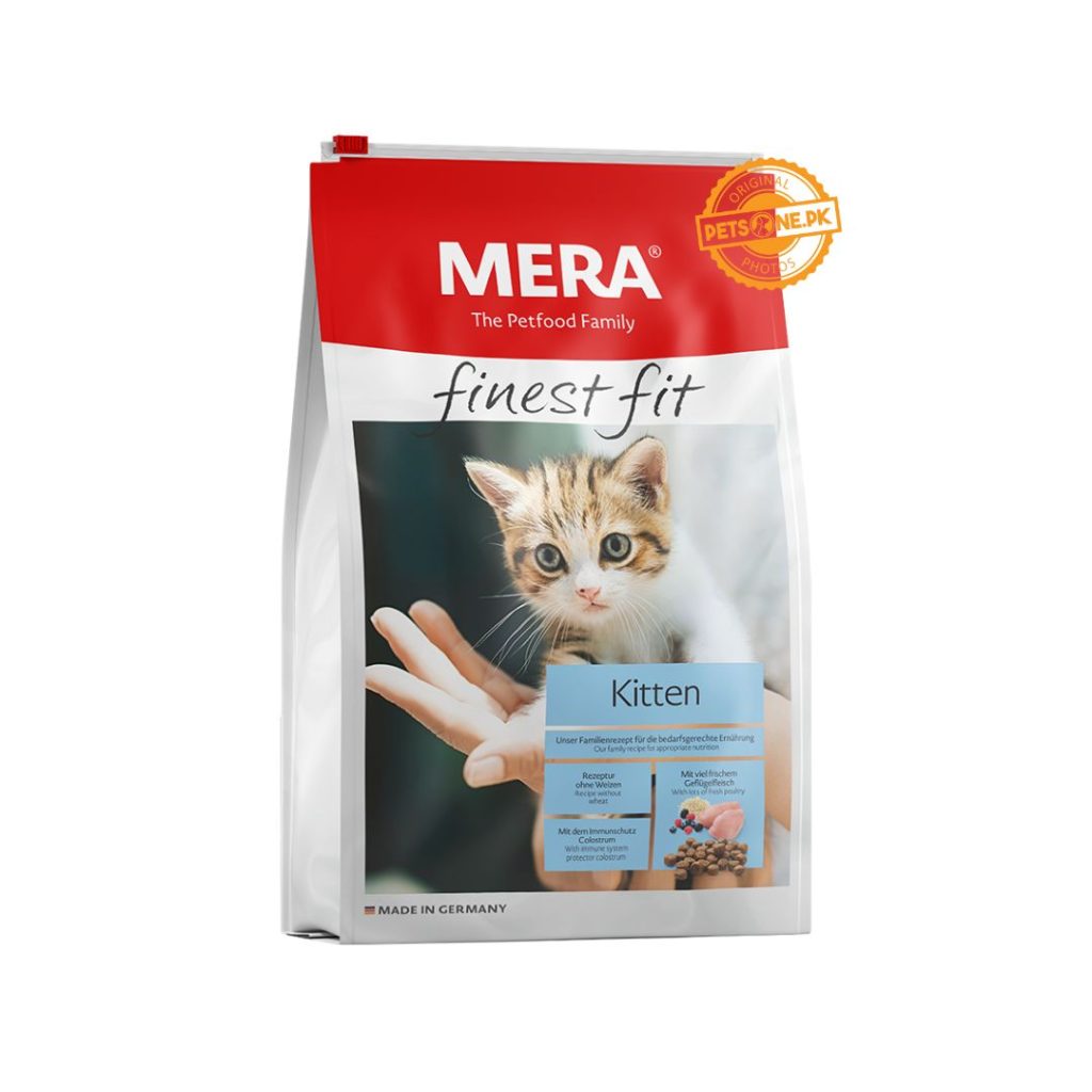 Mera-Finest-Fit-Kitten-1024x1024-1.jpg