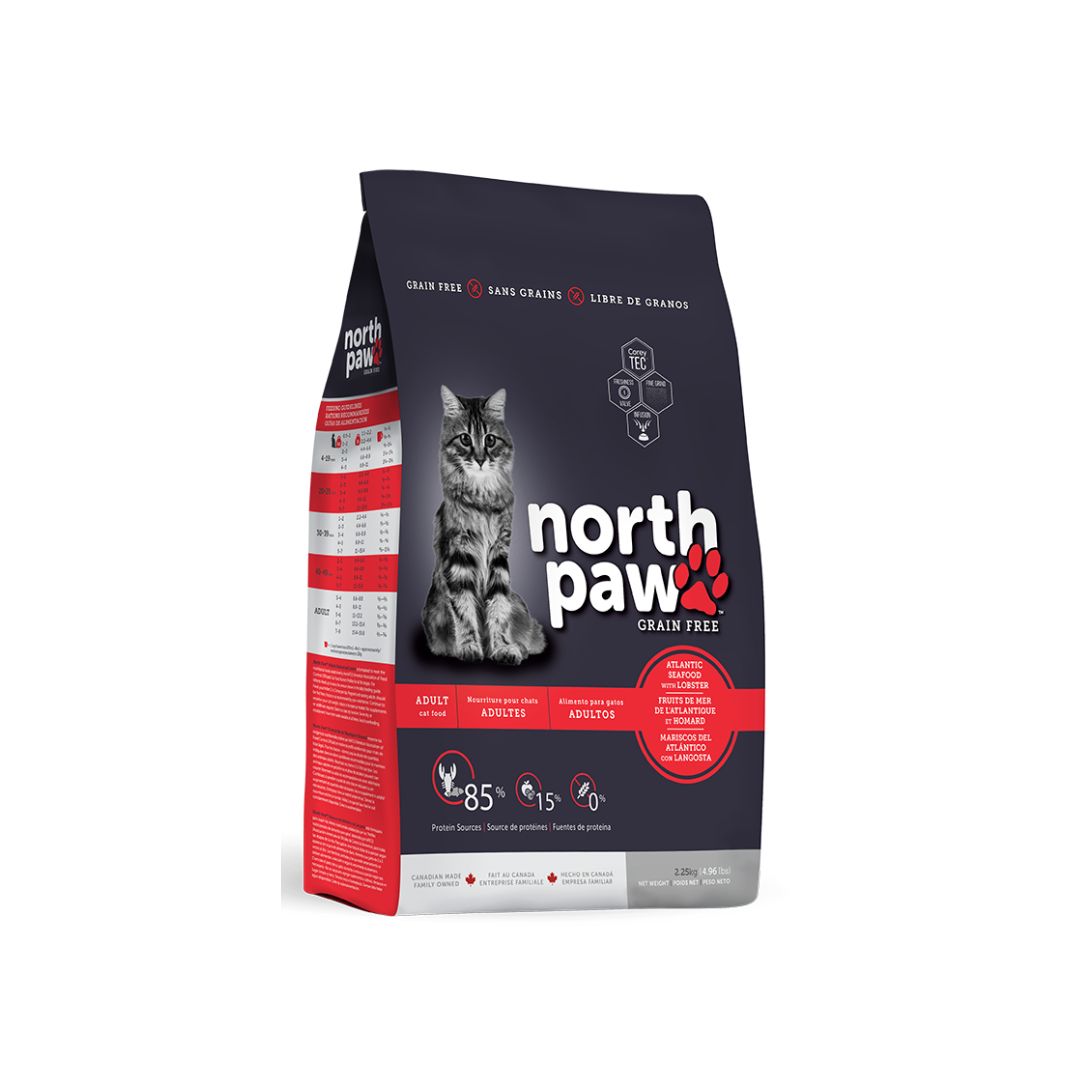 xr:d:DAFtfHB8XQw:2,j:8423259061488931052,t:23090412