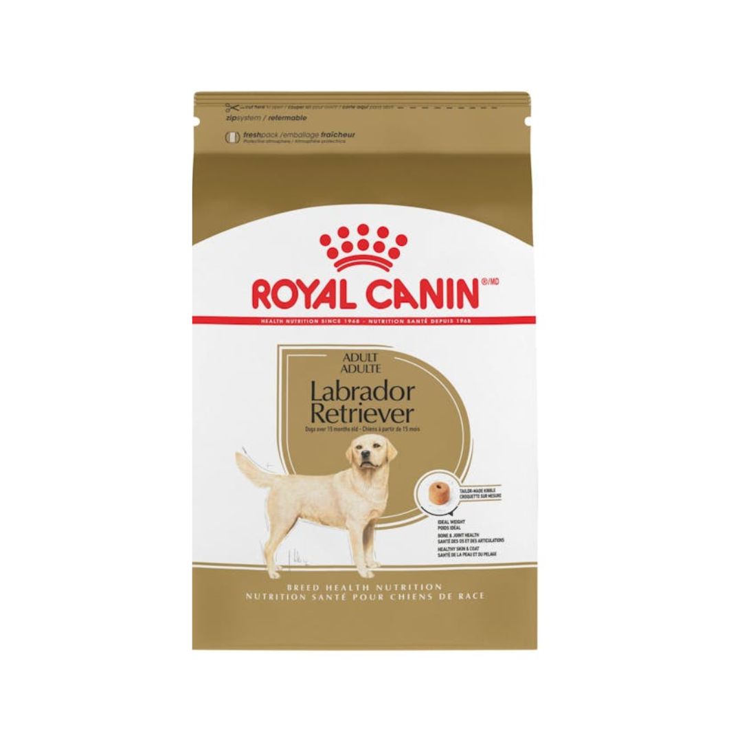 Royal-Canin-Dog-Food-for-Labrador-Retriever-Adult.jpg