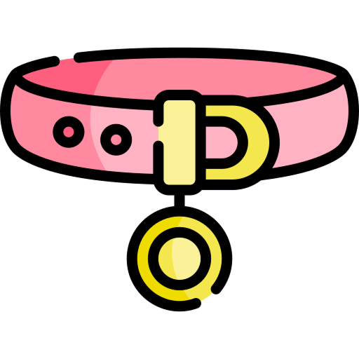 Collar, Harness and Leashes