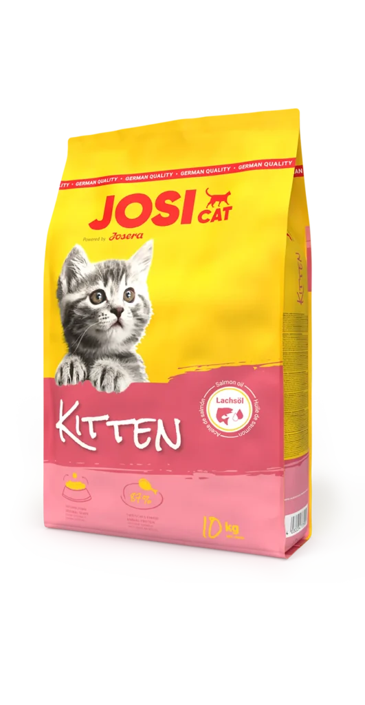 Josi Kitten