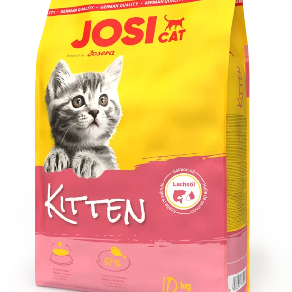 Josi Kitten