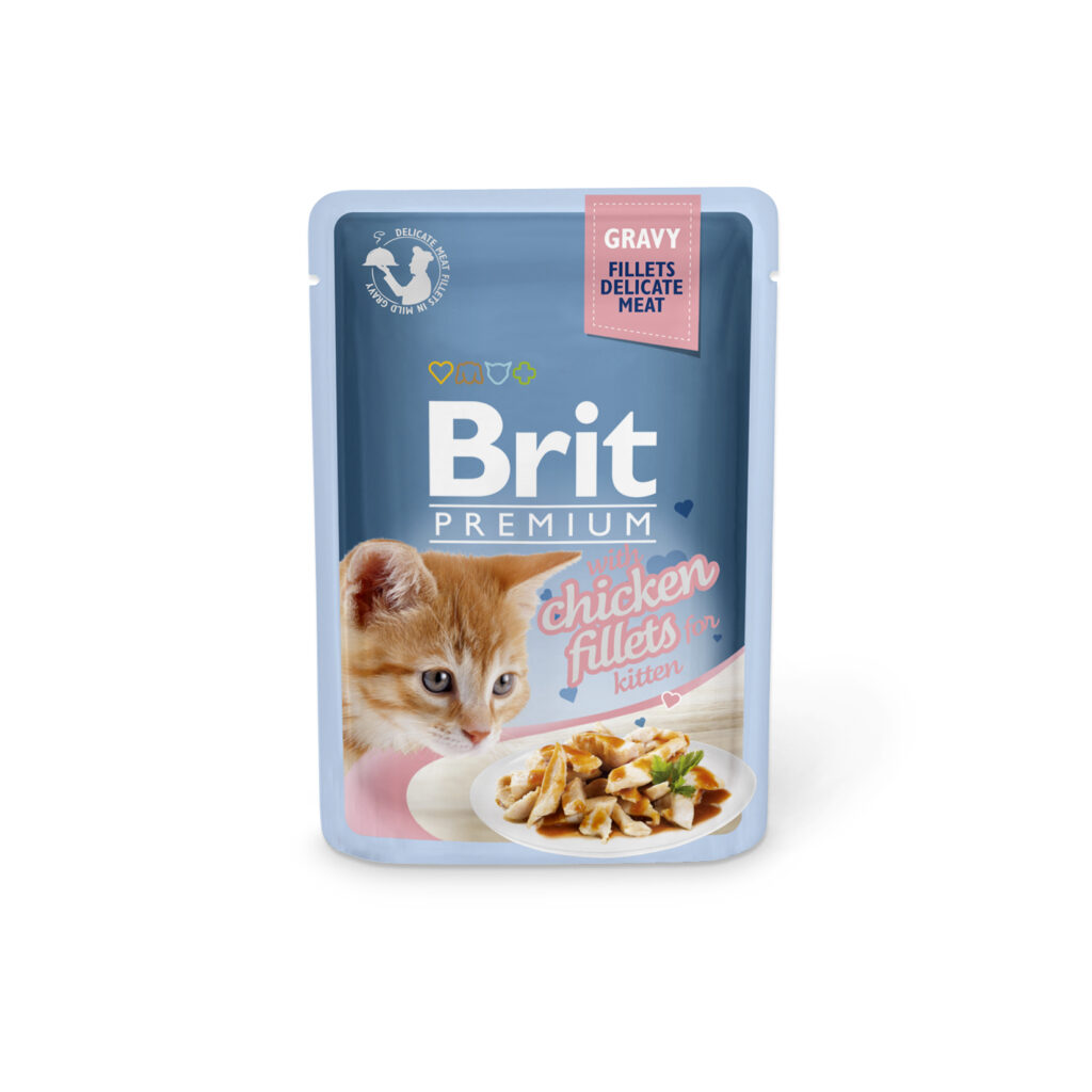 Brit for Kitten
