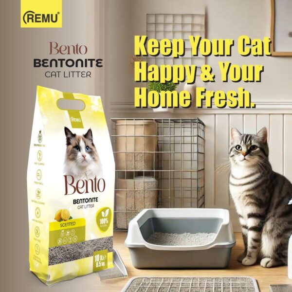 Bento - Bentonite Cat Litter