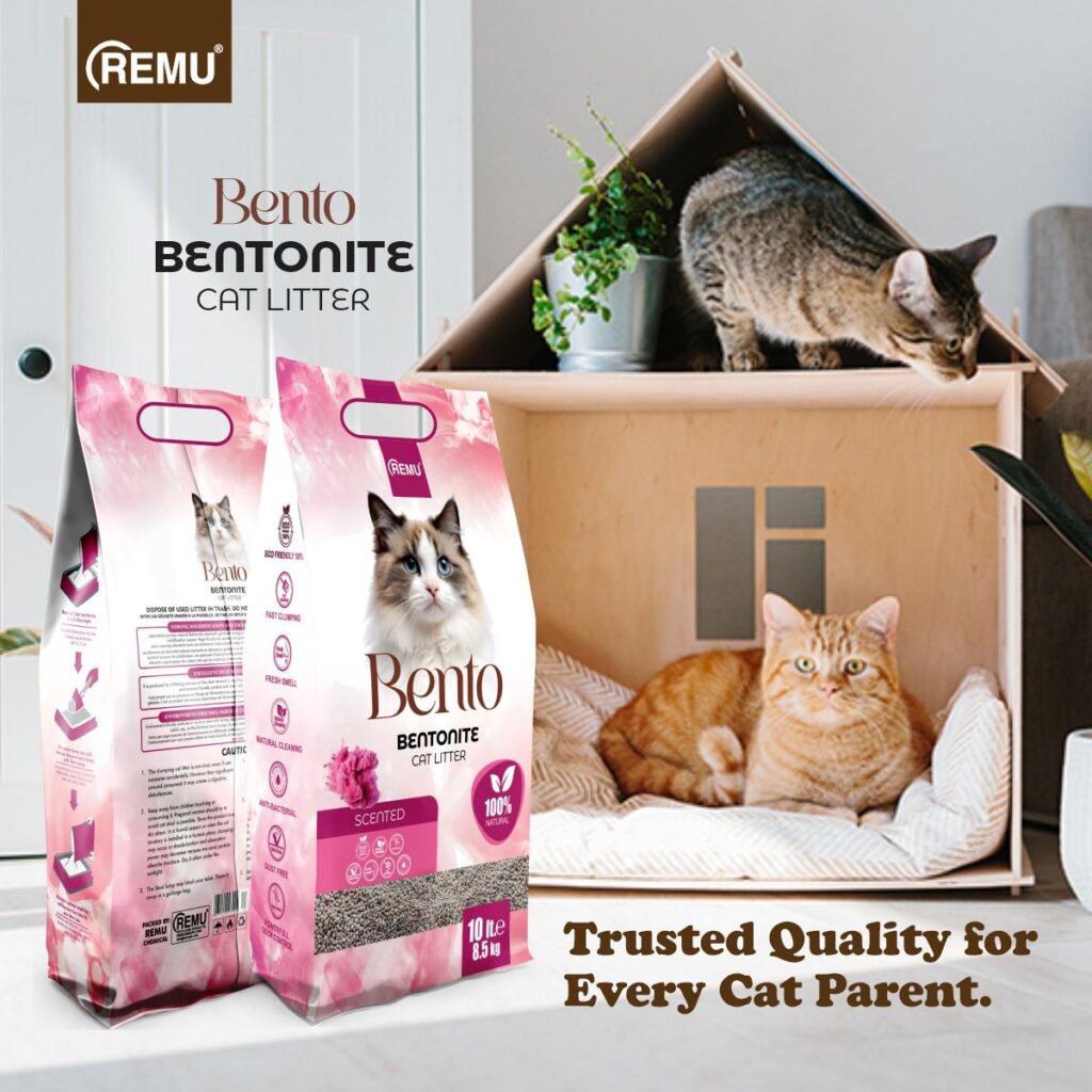 Bento - Bentonite Cat Litter