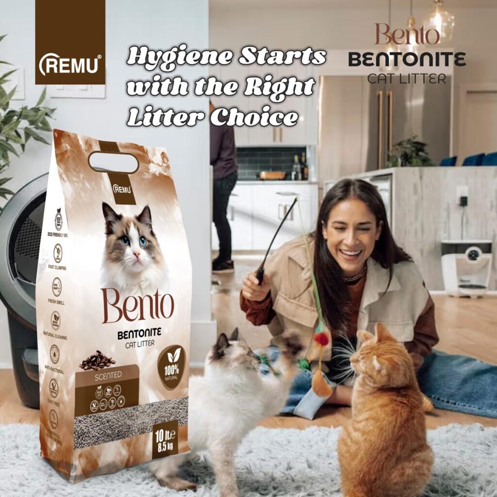 Bento - Bentonite Cat Litter