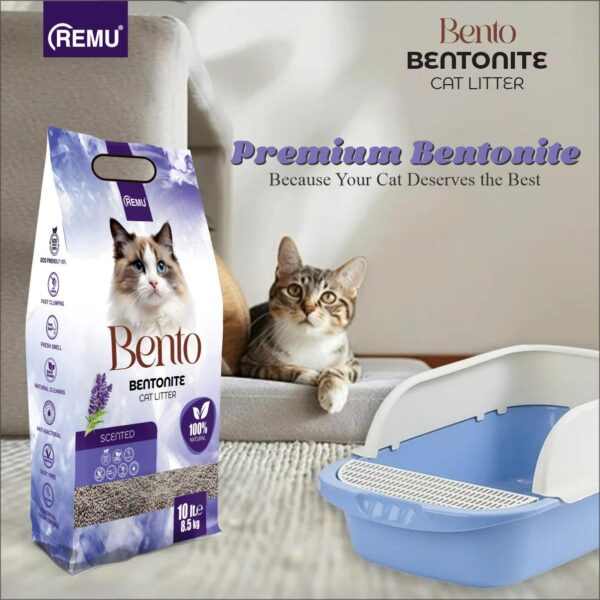 Bento - Bentonite Cat Litter