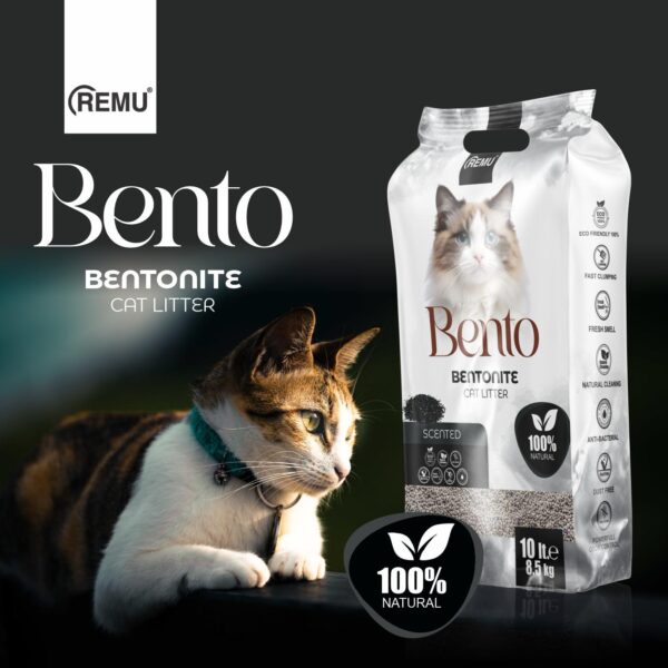 Bento - Bentonite Cat Litter