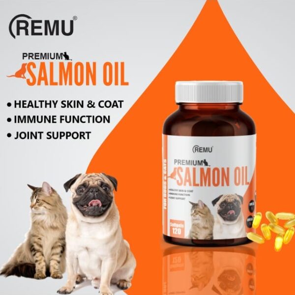Salmon Oil