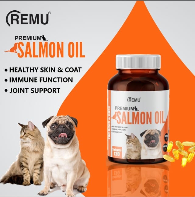 Salmon Oil