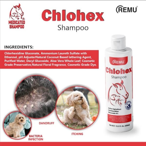 Chlohex Shampoo