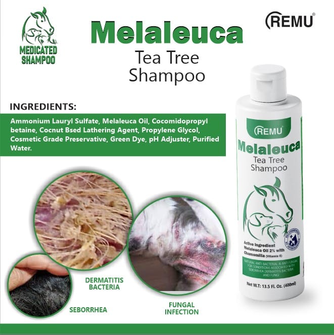 Melaleuca Shampoo