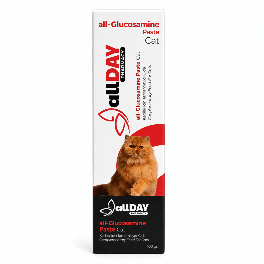 All Day - Glucosamine Paste Cat
