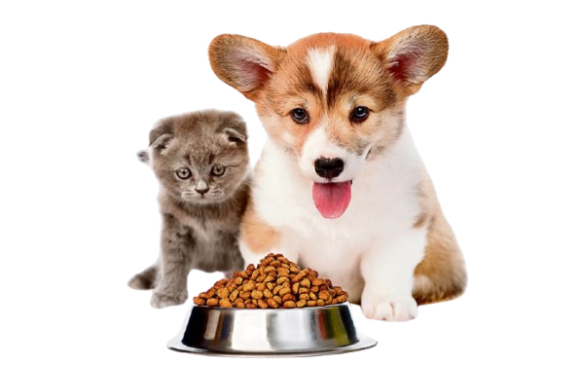 Pet Food