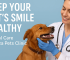 pet clinic